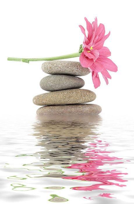 Pijat Panggilan Rungkut Surabaya ~ Putri Spa. Putri Spa adalah sebuah komunitas jasa kebugaran online dengan pelayanan door to door, mempunyai misi untuk membantu kebugaran customer. Ada bermacam -macam jasa pelayanan di Putri Spamulai dari pijat panggilan tradisional, massage full body, teraphis kesehatan, dan