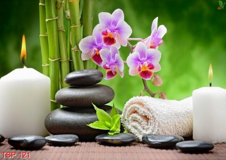 Pijat Panggilan Solo Surakarta City Central Java ~ Putri Spa. Putri Spa adalah sebuah komunitas jasa kebugaran online dengan pelayanan door to door, mempunyai misi untuk membantu kebugaran customer. Ada bermacam -macam jasa pelayanan di Putri Spamulai dari pijat panggilan tradisional, massage full body, teraphis kesehatan, dan